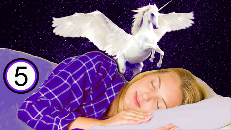 Exploring Dreams Class 5